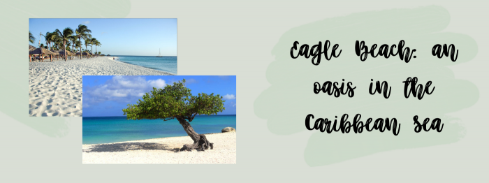 Eagle Beach: an oasis in the Caribbean Sea