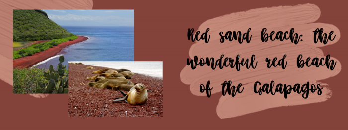 Red sand beach: the wonderful red beach of the Galapagos